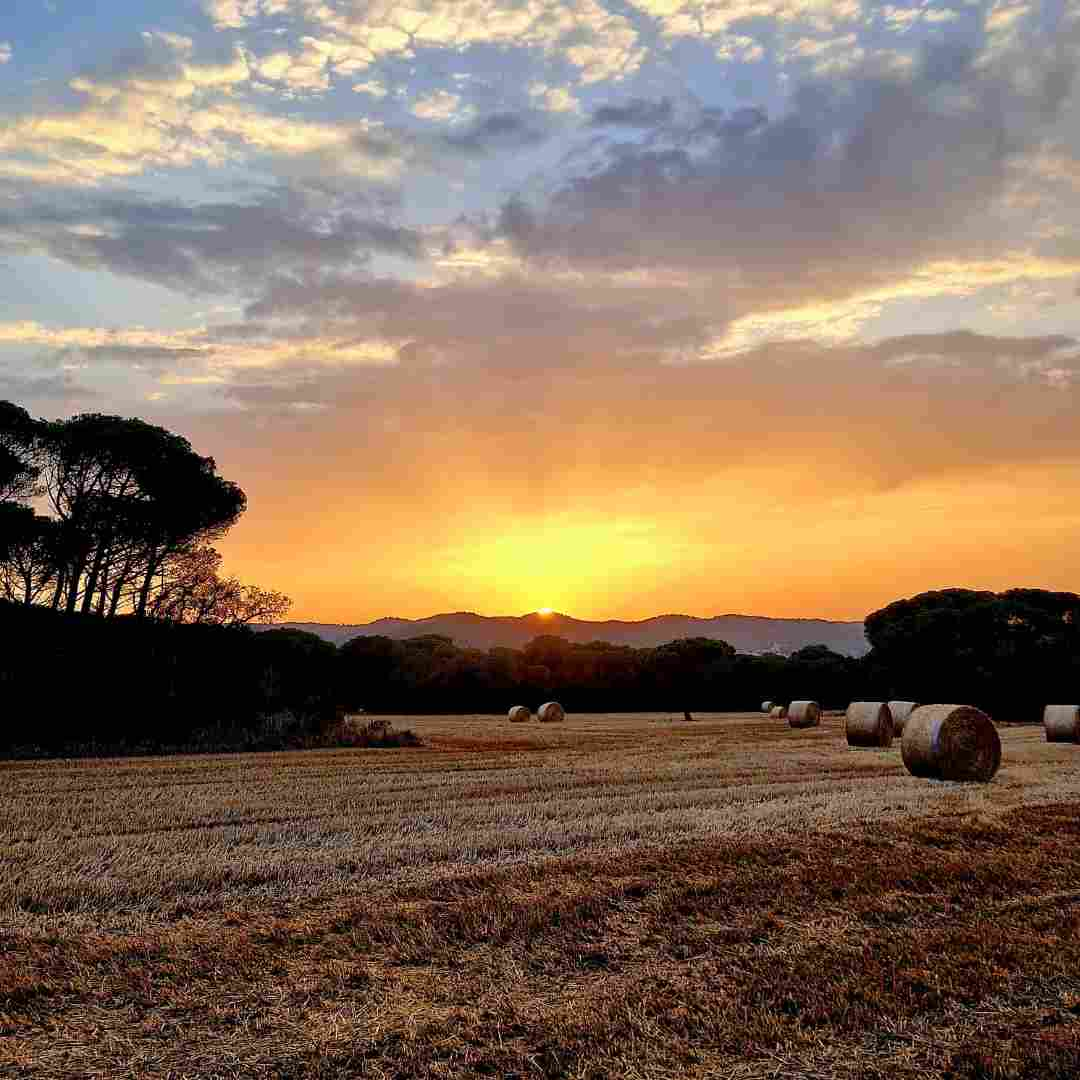 casas unifamiliares en el empordà